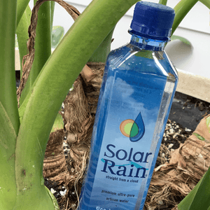 Solar Rain by the Case (12 - 1L Bottles)